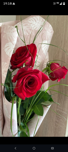 Relatie frumoasa de prietenie