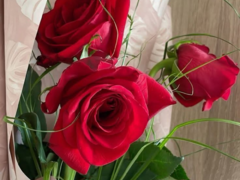 Relatie frumoasa de prietenie